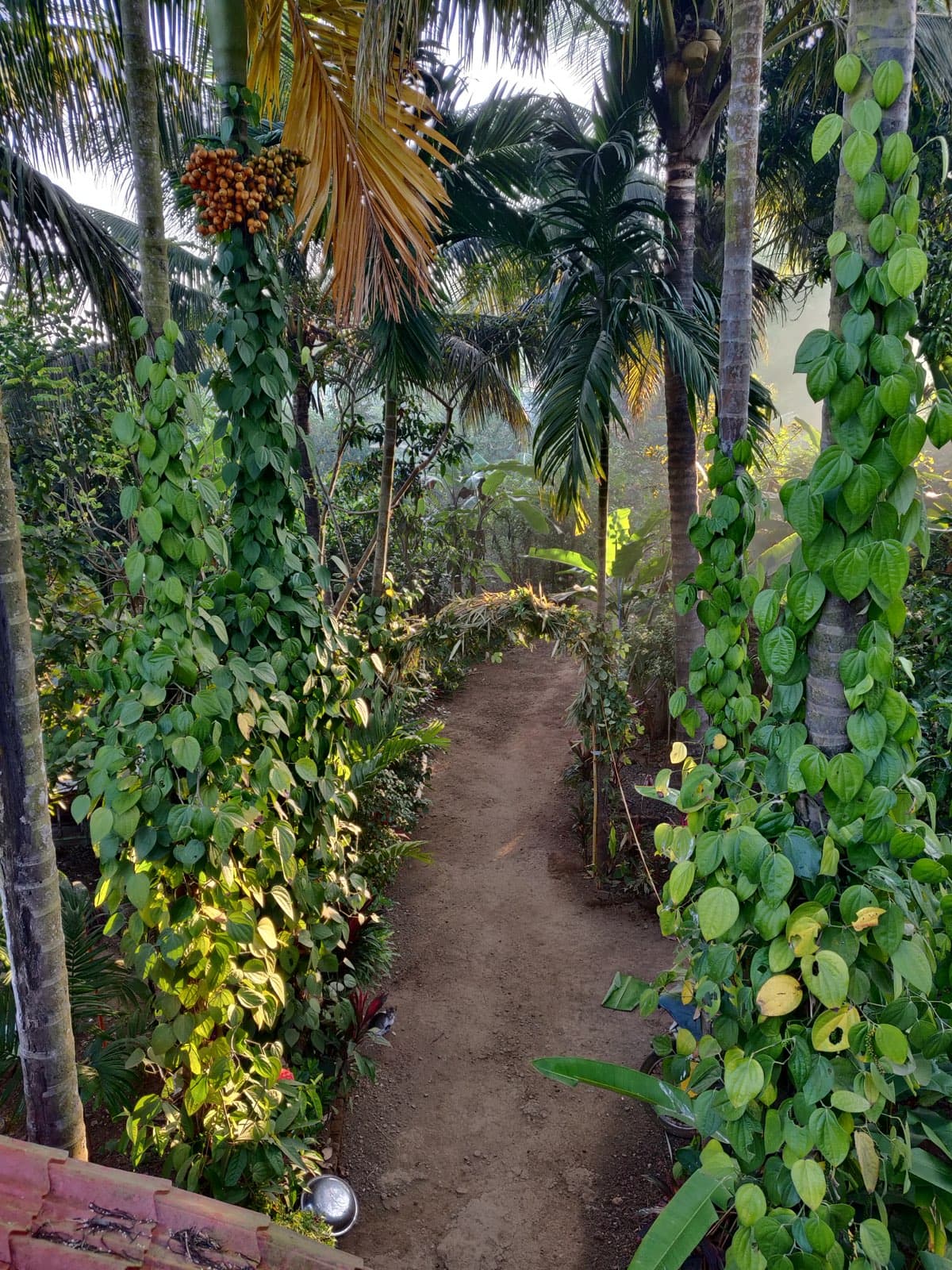 Multilayer farming with crops at many heights