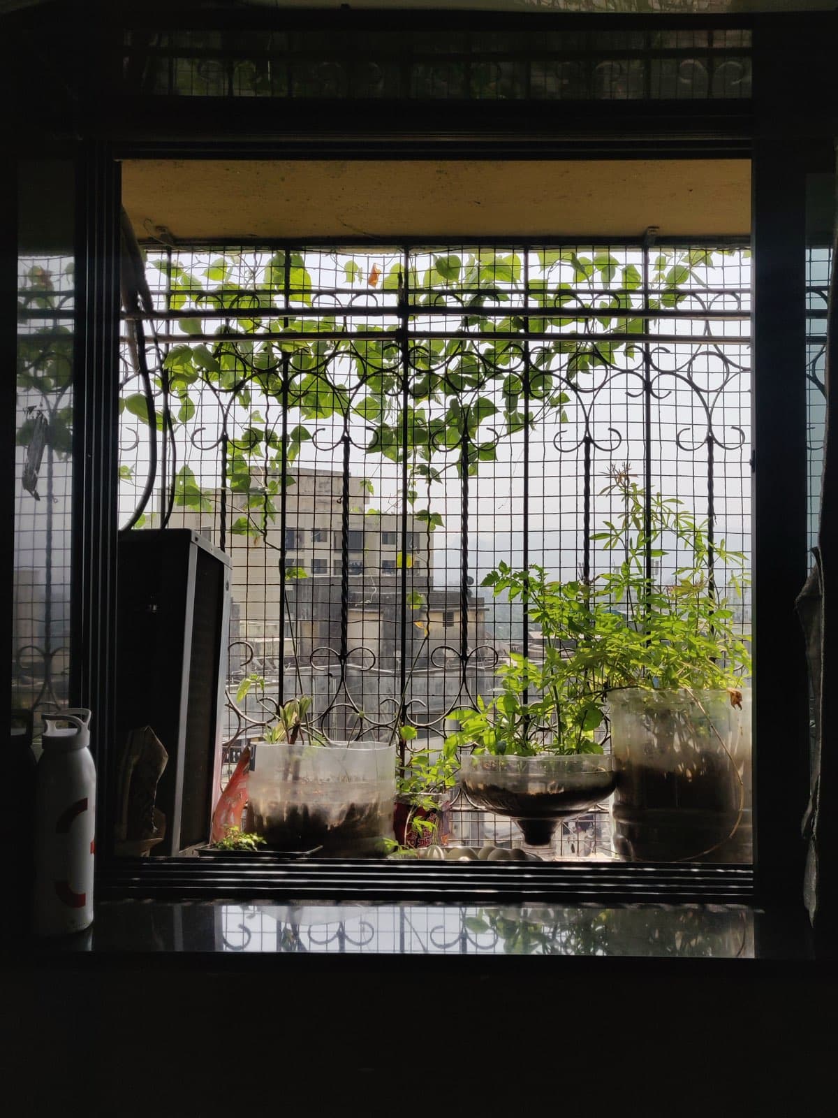 A repurposed urban balcony garden